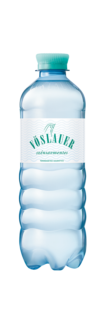 Produktabbildung HU-Szénsavmentes 0,5 l repet